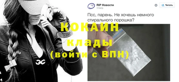 прущие грибы Заволжск
