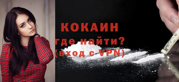 прущие грибы Заволжск
