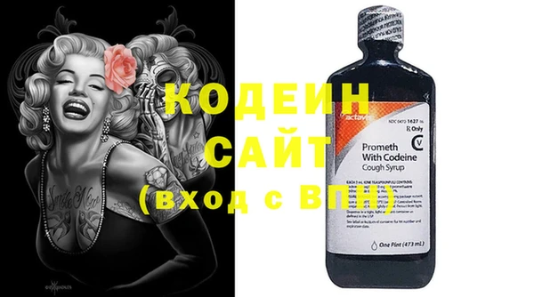 прущие грибы Заволжск
