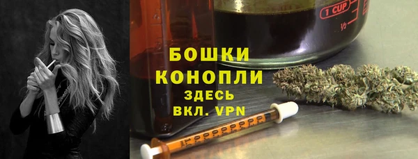 прущие грибы Заволжск