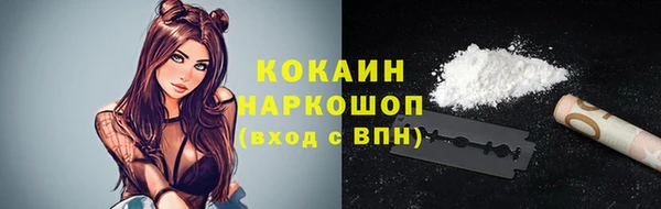 прущие грибы Заволжск