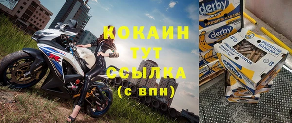 прущие грибы Заволжск