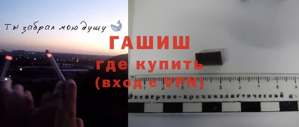 прущие грибы Заволжск