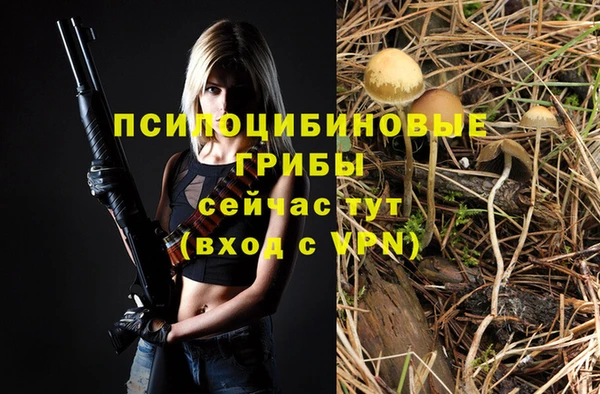 мефедрон мука Заводоуковск