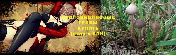 мефедрон мука Заводоуковск
