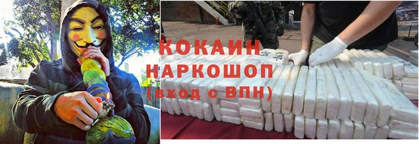 прущие грибы Заволжск