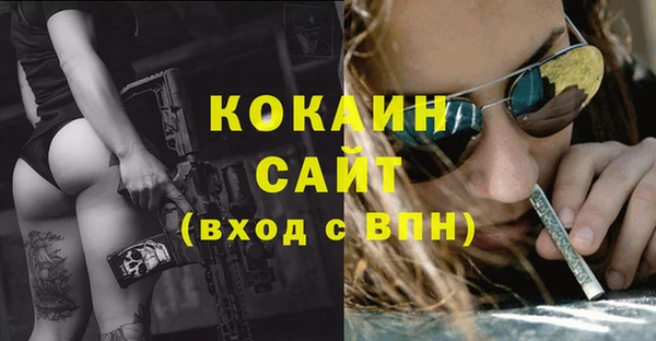 прущие грибы Заволжск