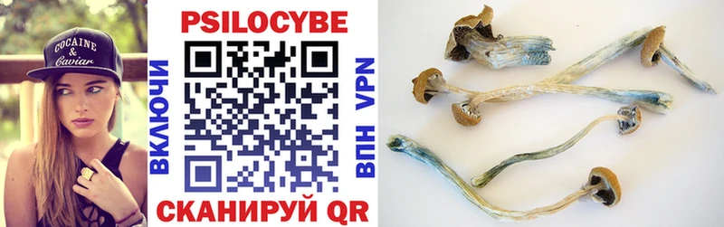 Галлюциногенные грибы GOLDEN TEACHER Камышлов